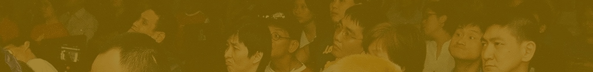 banner-FDS.jpg